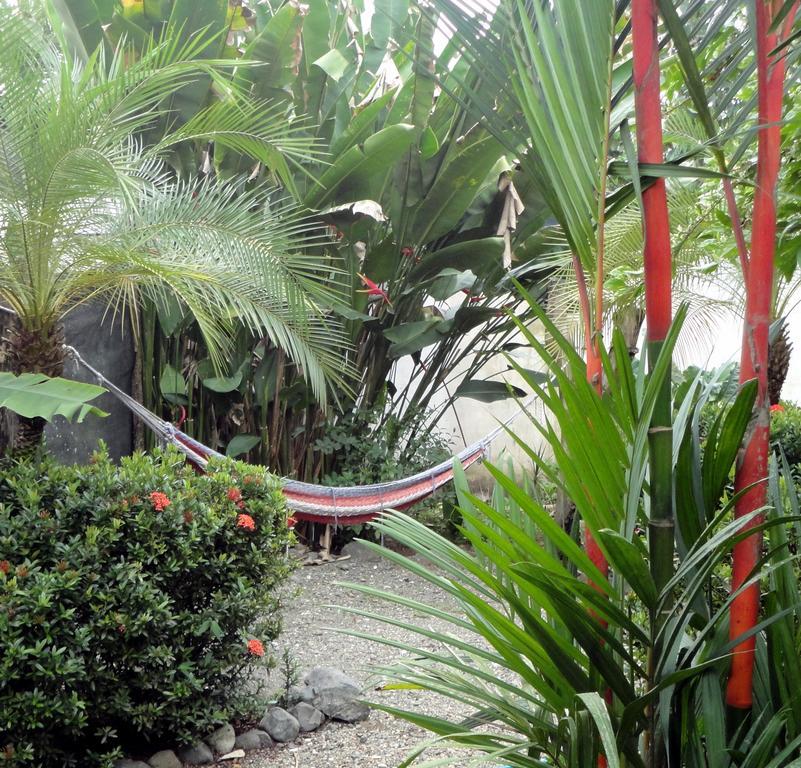 Cabinas Tropicales Puerto Jiménez Εξωτερικό φωτογραφία