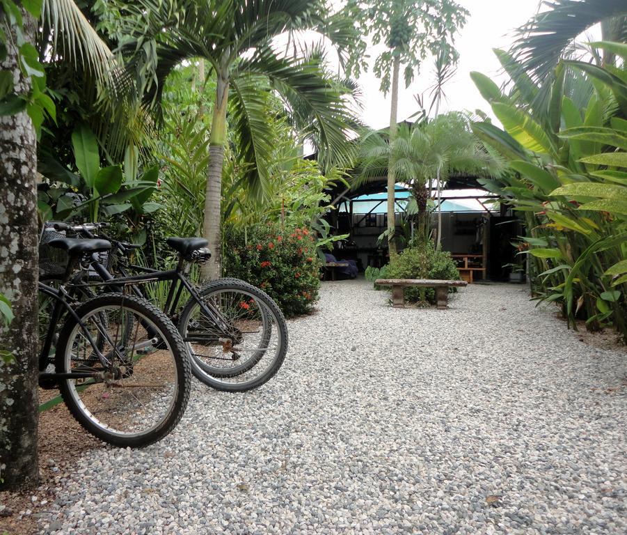 Cabinas Tropicales Puerto Jiménez Εξωτερικό φωτογραφία