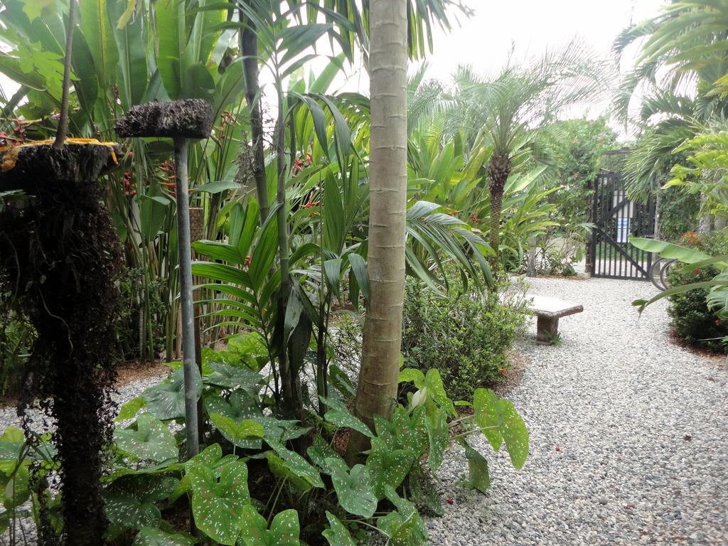 Cabinas Tropicales Puerto Jiménez Εξωτερικό φωτογραφία