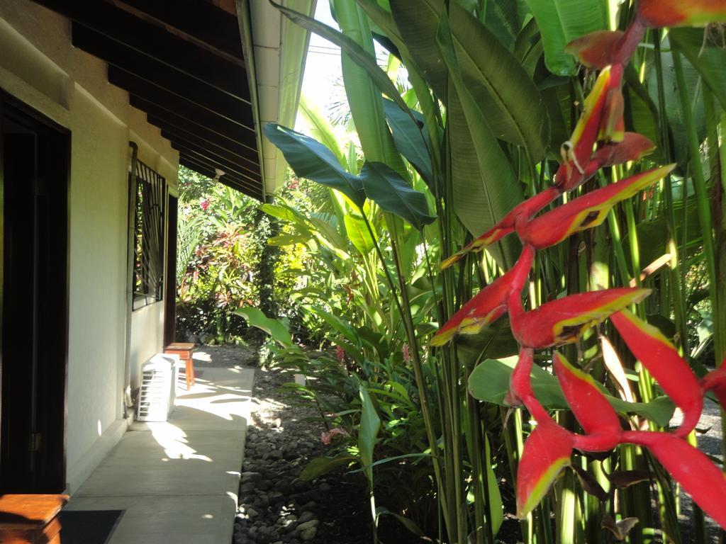 Cabinas Tropicales Puerto Jiménez Δωμάτιο φωτογραφία