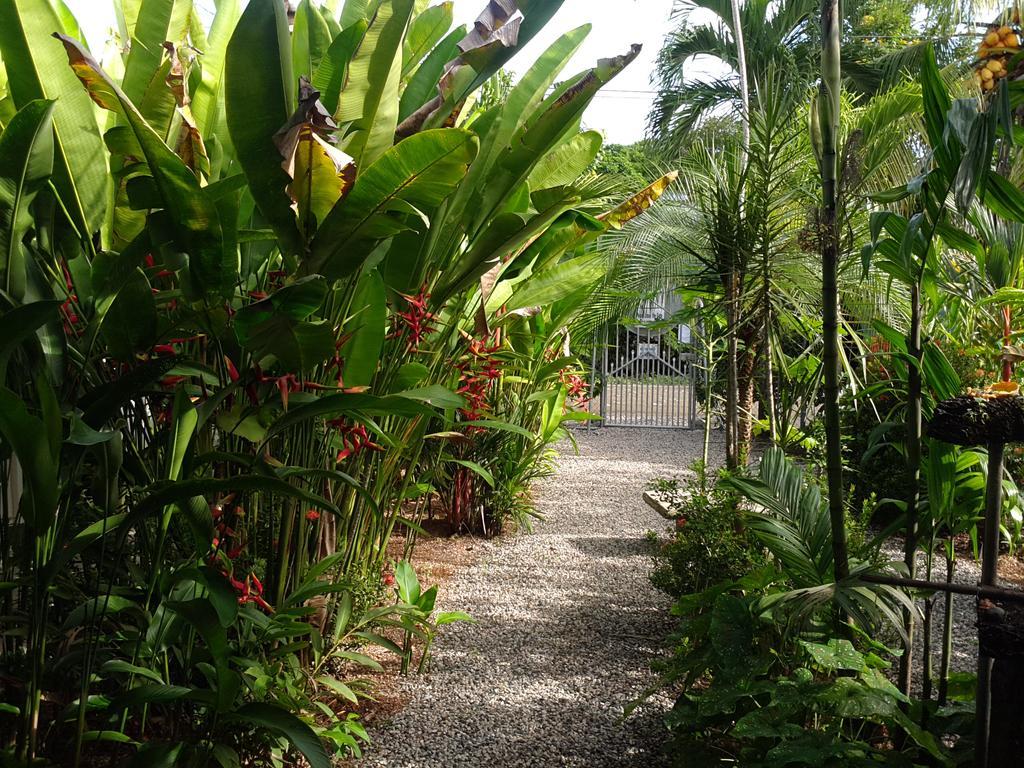 Cabinas Tropicales Puerto Jiménez Εξωτερικό φωτογραφία
