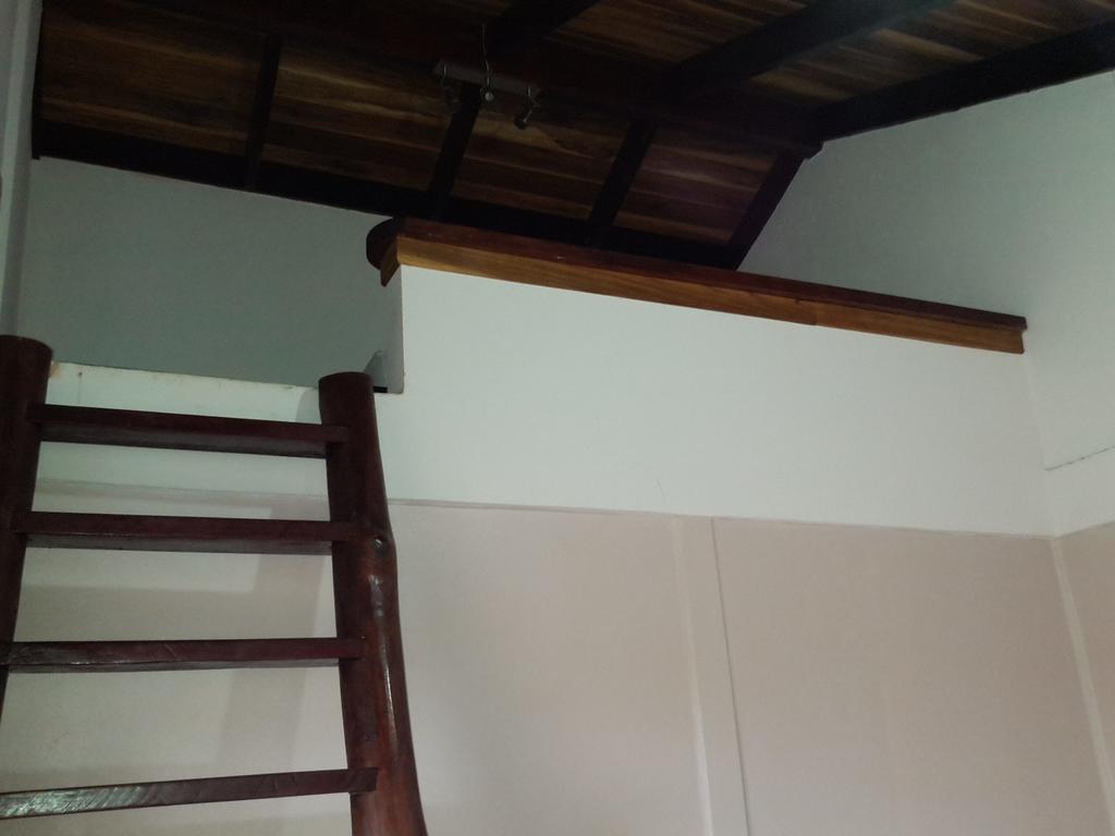Cabinas Tropicales Puerto Jiménez Εξωτερικό φωτογραφία