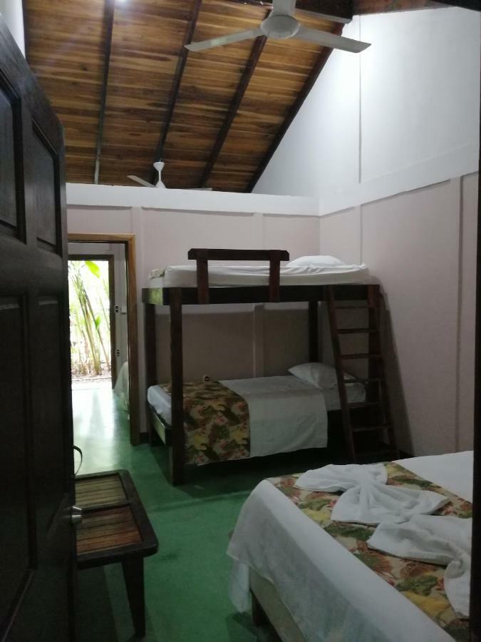 Cabinas Tropicales Puerto Jiménez Εξωτερικό φωτογραφία